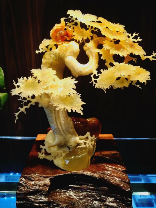 src=http://www.localalternativefoods.com/skin/default/image/nopic.gif